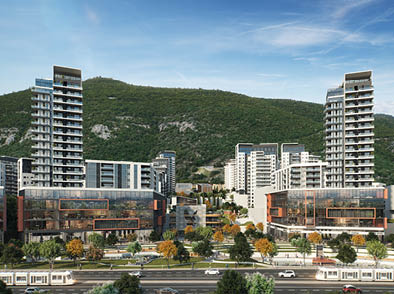 אגמי בראשית, נשר