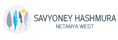 savyoney hashmura logo